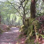 Séjour à la campagne Carballos Tomiño