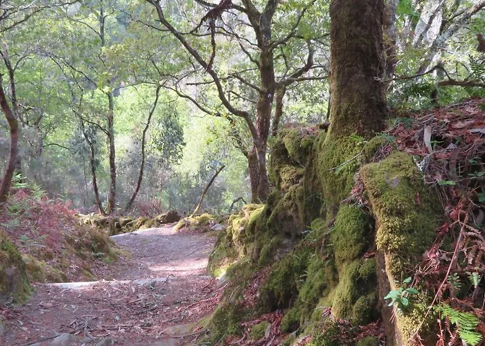 ヴィラ Carballos Tomiño