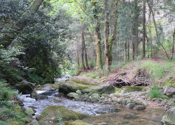 ヴィラ Carballos Tomiño